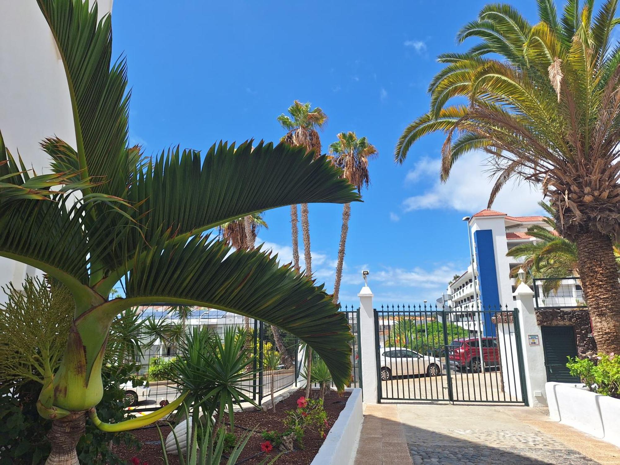 Апартаменты Parque Margarita, Terraza Vista Piscina Лос Кристианос Экстерьер фото
